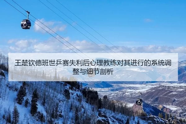 wang-chu-qin-de-ban-shi-ping-sai-shi-li-hou-xin-li-jiao-lian-dui-qi-jin-xing-de-xi-tong-tiao-zheng-yu-xi-jie-pou-xi-2-404.jpg